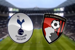 jnh-狼队主场不敌伯恩茅斯，失去争夺机会(狼队 波登斯)