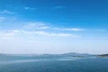 金年会-包含斯洛伐克喜获胜利，晋级形势一片光明的词条