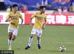 沪上德比，申花将与申鑫上演角逐的简单介绍