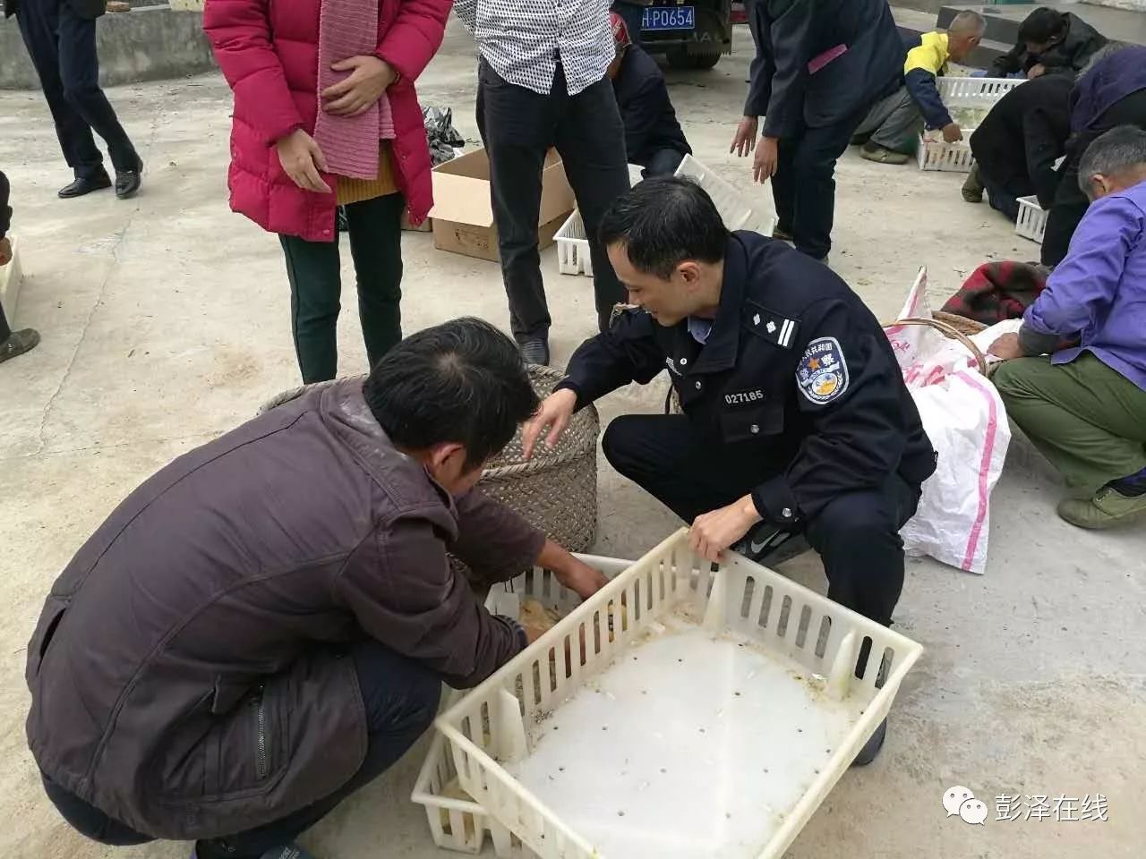 雄鹿发起慈善活动助力当地社区脱贫攻坚 雄鹿发起慈善活动助力当地社区脱贫攻坚